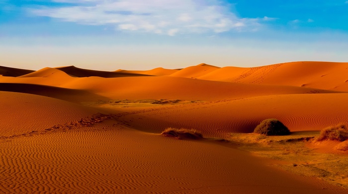 orange, sand, desert, dune, Morocco, landscape, nature, Sahara