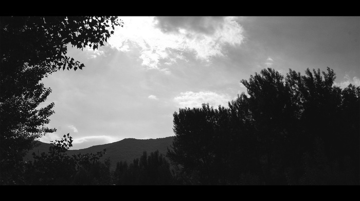 monochrome