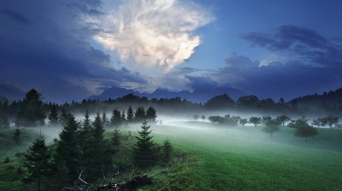 grass, clouds, nature, mist, landscape, night, hill, forest