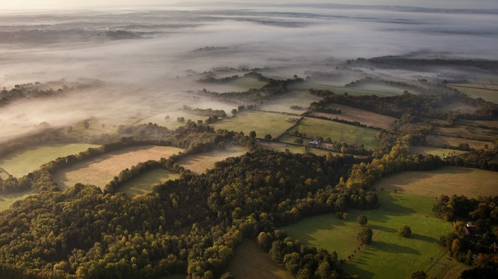 UK, mist, aerial view, landscape, forest, morning, nature, field