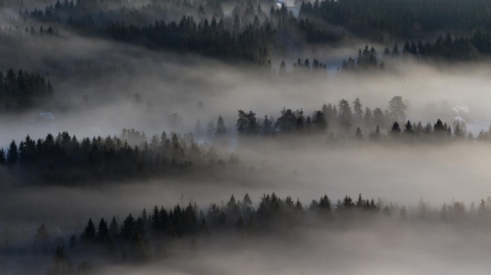 nature, landscape