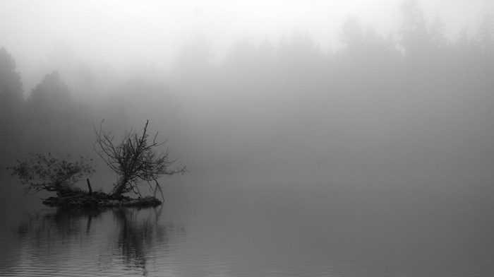 nature, landscape