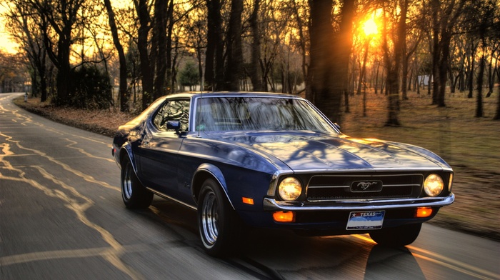 Ford, sunset, muscle cars, Ford Mustang, road, car, trees