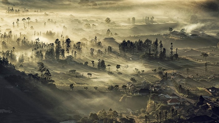 landscape, nature, village, mist, sunrise, Indonesia, trees, field, valley