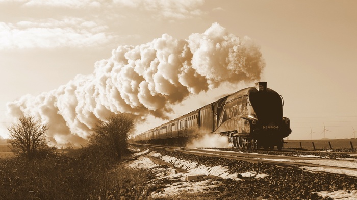 sepia, steam locomotive, vehicle, train