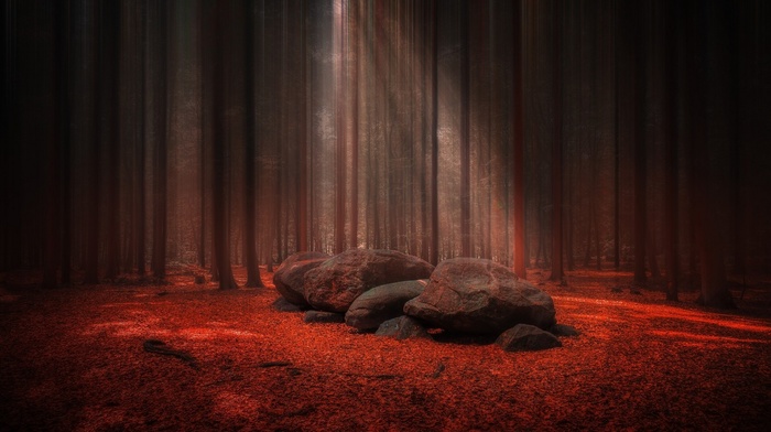 mist, leaves, red, stones, fall, nature, sunlight, landscape, trees, forest