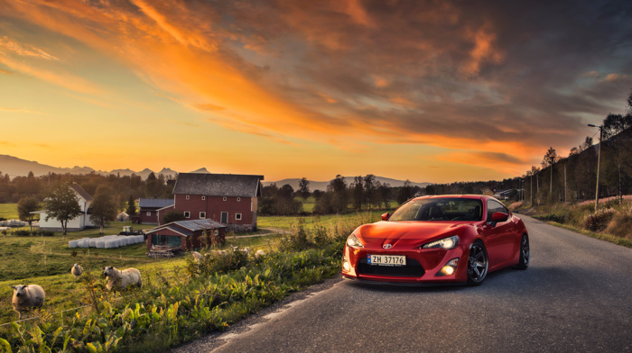 Toyota GT86, Toyota, sheep, farm, sunset, GT86, red cars, car