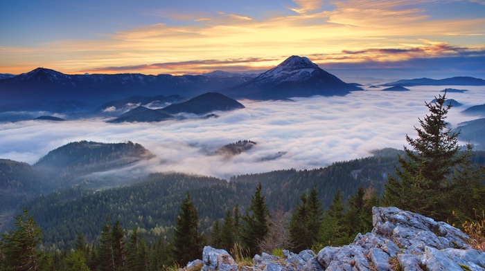 mist, landscape, clouds, valley, snowy peak, sunrise, mountain, nature, forest