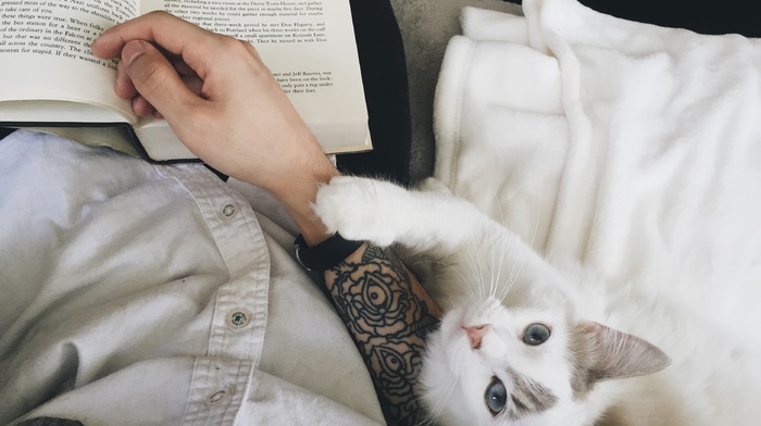 tattoo, cat, books