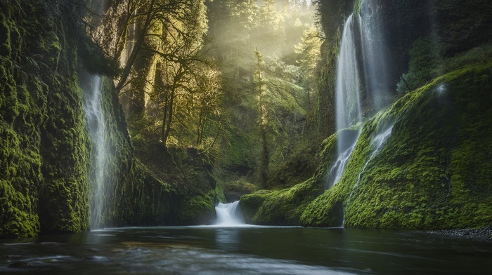 mist, forest, USA, waterfall, moss, valley, Oregon, landscape, river, pine trees, water, nature, sunrise
