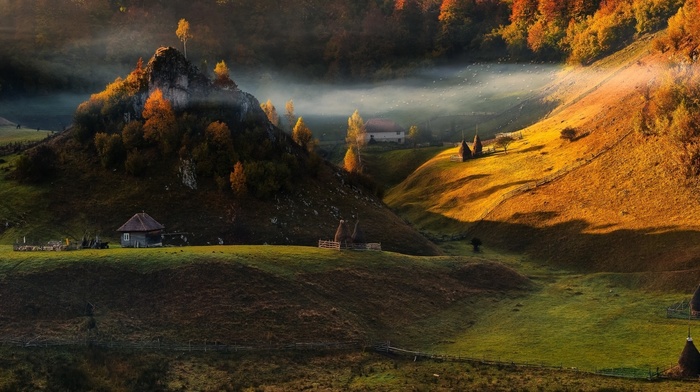 forest, fall, nature, mist, sunrise, hill, landscape, villages, fence