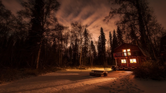 forest, cottage, nature, landscape, lights, night, snow, winter