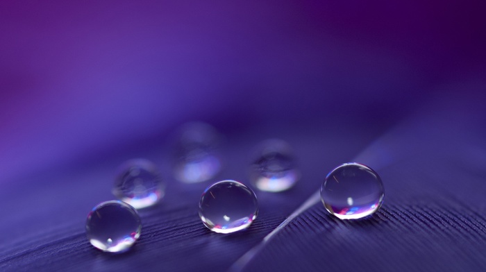 reflection, macro, depth of field, water drops, purple