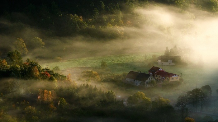 hill, nature, sunrise, morning, trees, village, landscape, mist