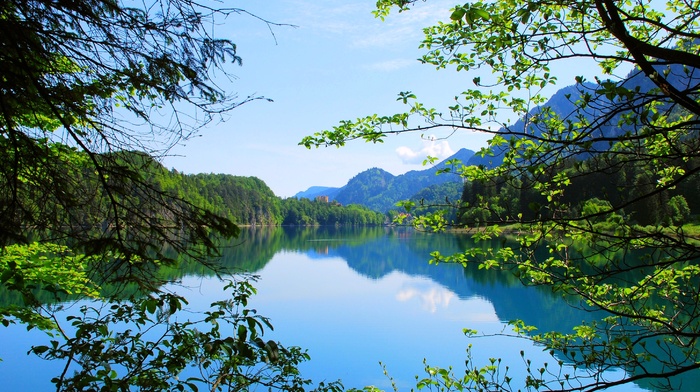 forest, nature, landscape, summer, water, mountain, lake, trees, Alps