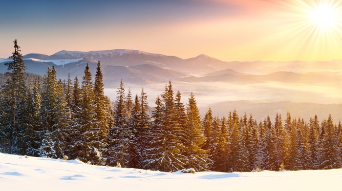 mountain, snow, mist, sun rays, forest, snowy peak, winter