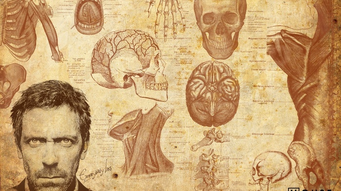 medicine, spine, skull, muscles, face, artwork, actor, men, Gregory House, Hugh Laurie, bones