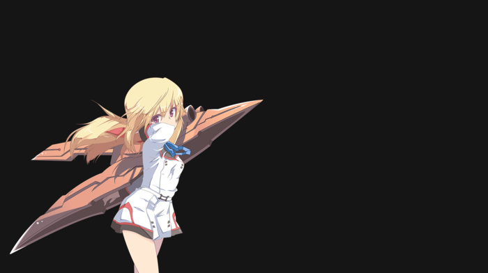 Infinite Stratos, dunois charlotte, anime girls, simple background