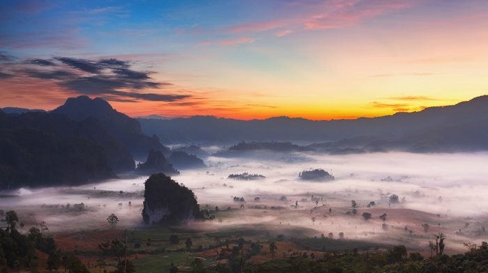 sunrise, mountain, mist, field, nature, landscape, clouds, valley, trees