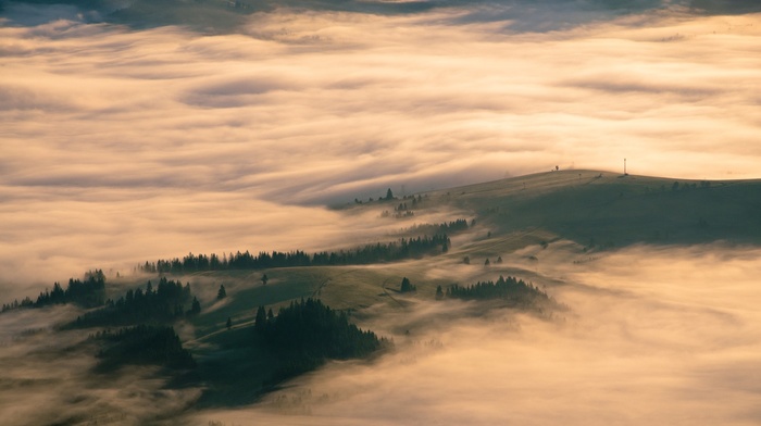 nature, field, Carpathians, mist, hill, aerial view, landscape, forest, sunrise