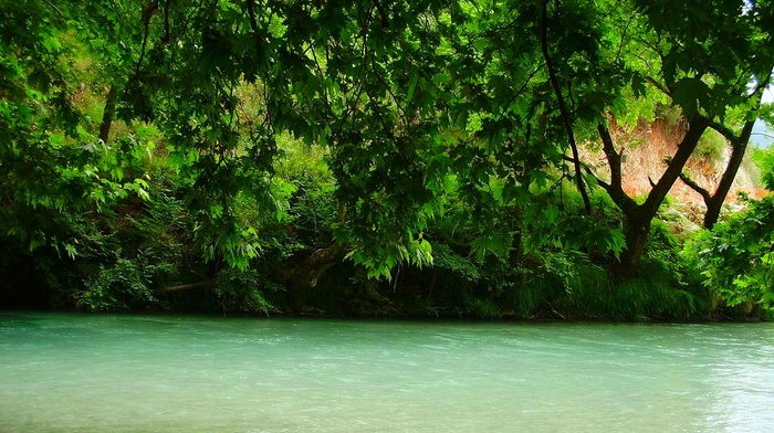 trees, water, green, river, landscape, spring, Greece, shrubs, nature