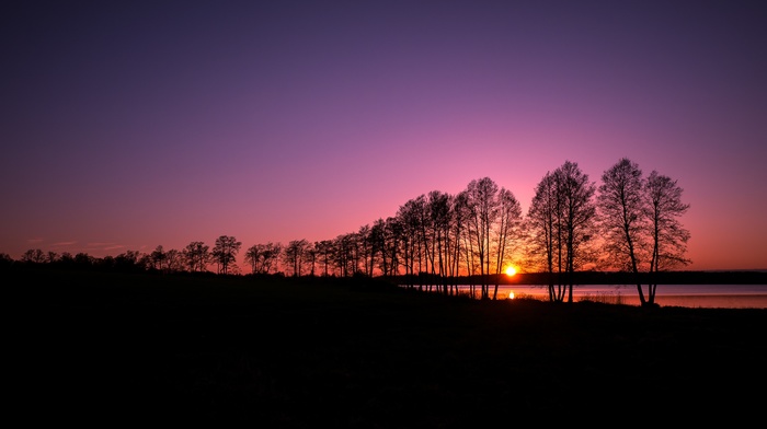nature, trees, landscape, sunset, evening, clear sky, silhouette, lake