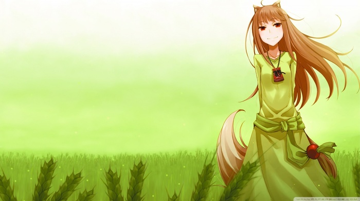 anime, Holo, Spice and Wolf