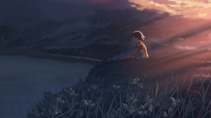 anime, 5 Centimeters Per Second