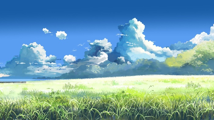 anime, 5 Centimeters Per Second, sky, field