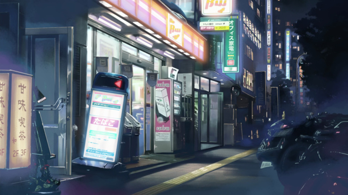 5 Centimeters Per Second, anime