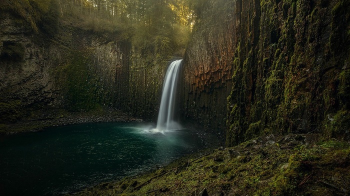 landscape, waterfall, moss, Oregon, forest, nature, erosion