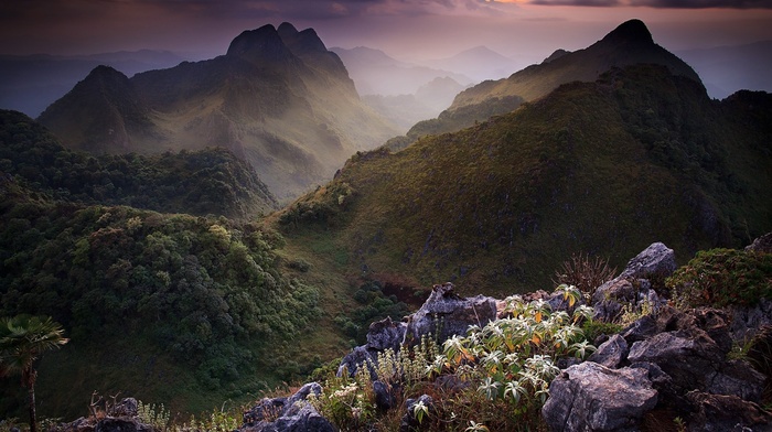 nature, mountain