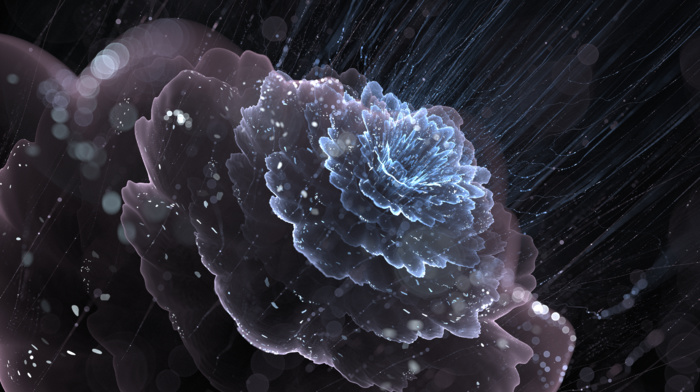 fractal flowers, digital art, abstract, fractal