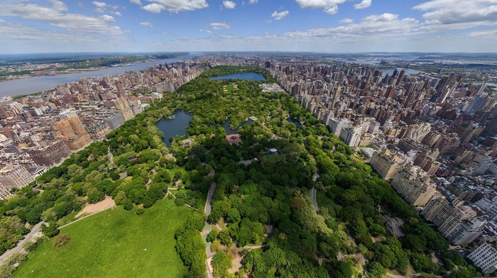 cityscape, urban, park, New York City, central park, city