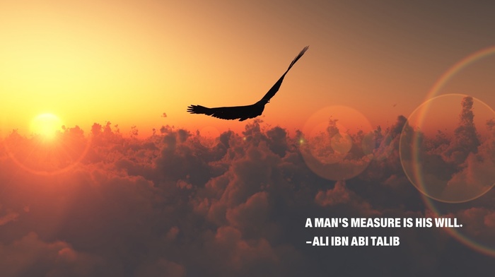 Imam, Islam, sunset, sunrise, eagle, clouds, nature, quote, Ali ibn Abi Talib, motivational