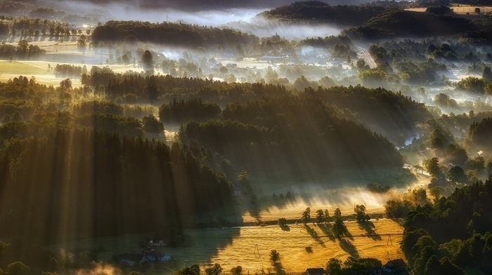 trees, forest, villages, mist, nature, sun rays, field, landscape, aerial view, sunrise, hill