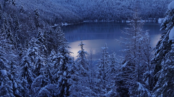 nature, trees, cold, morning, snow, landscape, mountain, lake, calm, winter, forest
