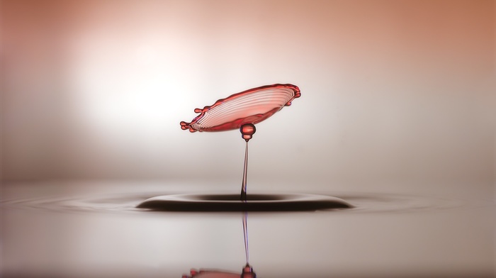 photography, macro, blurred, water drops, pink, depth of field