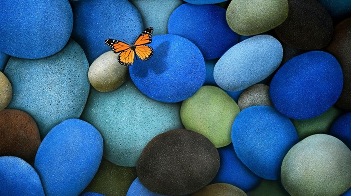 butterfly, stones