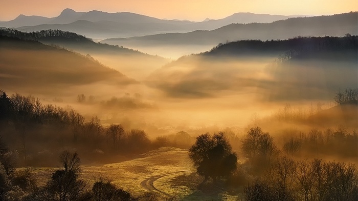 nature, sunrise, mountain, forest, Greece, landscape, mist, trees