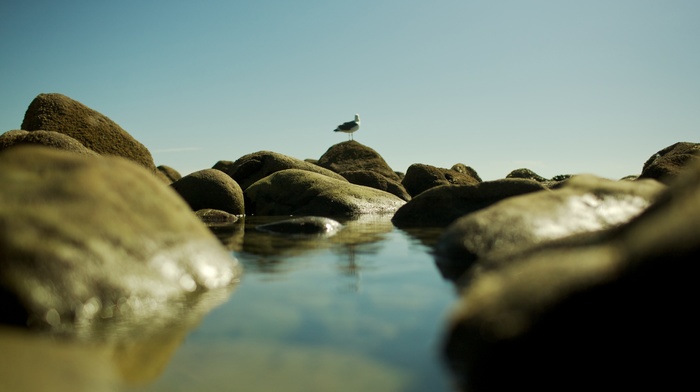 landscape, water, rock