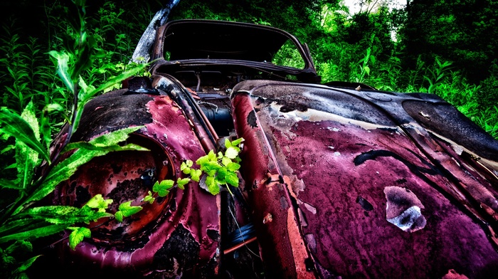 vintage, rust, pink, plants, car, wreck, green