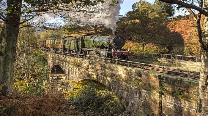 train, bridge