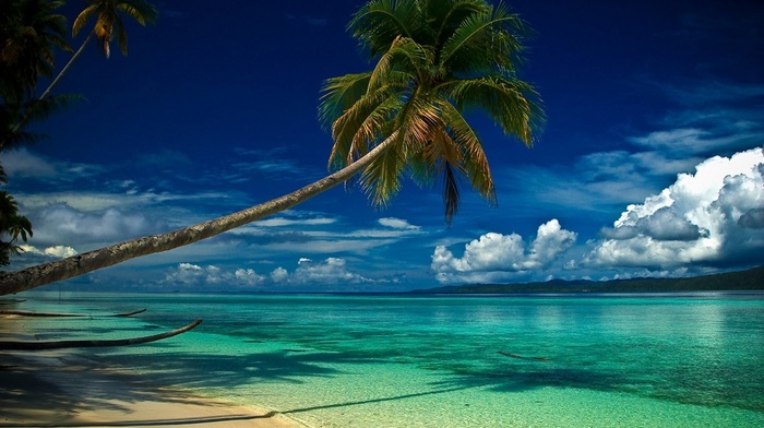 landscape, sea, turquoise, morning, nature, green, beach, summer, white, blue, clouds, hill, water, palm trees, tropical