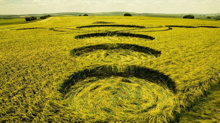 hay, field, UFOs, nature, trees, landscape, hill, circle