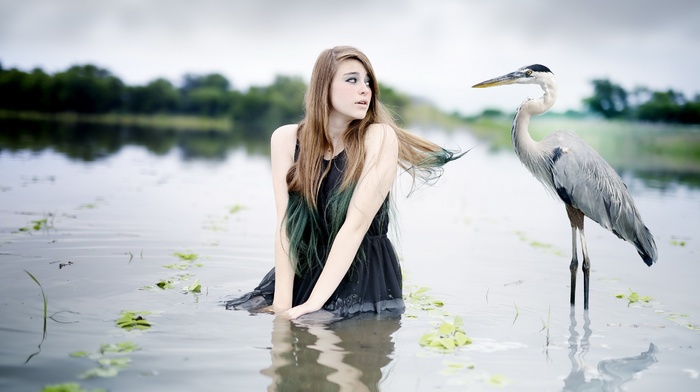 girl, brunette, birds, model