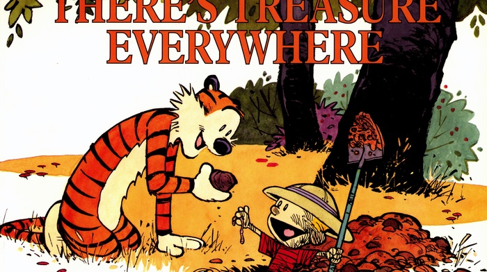 Calvin and Hobbes, comics