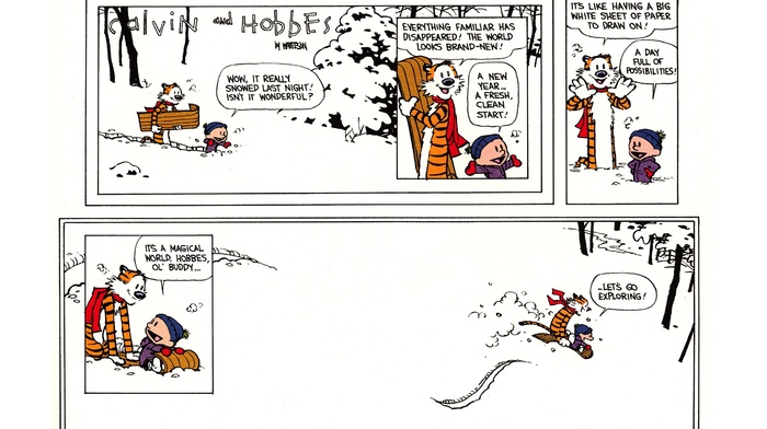 comics, Calvin and Hobbes