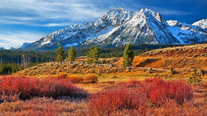 colorful, fence, Idaho, landscape, forest, mountain, nature, fall, snowy peak, grass