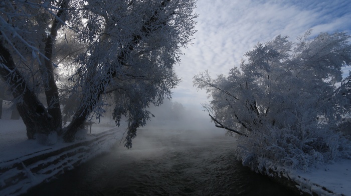 nature, frost, river, shrubs, cold, mist, winter, landscape, snow, trees, clouds